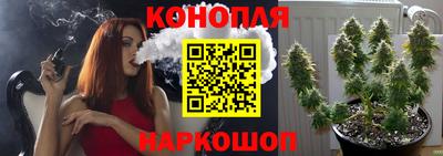 сатива Тверь