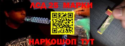 спайс Тара