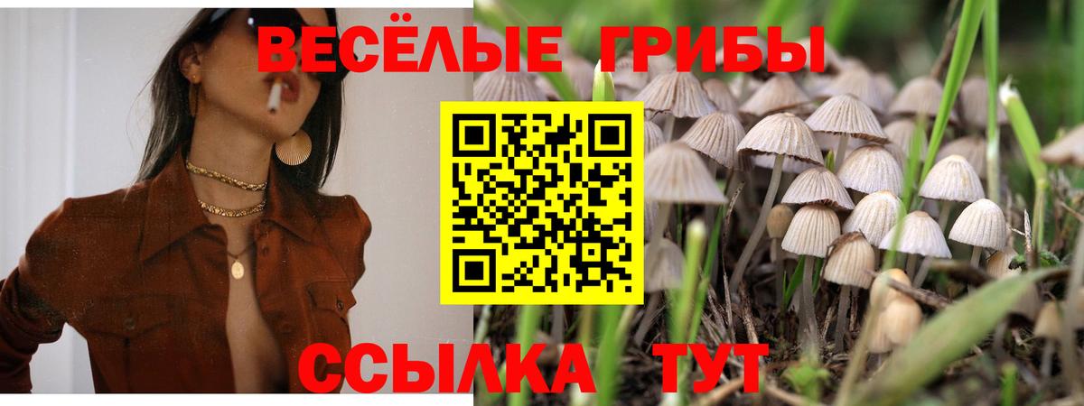 Галлюциногенные грибы Psilocybine cubensis Невинномысск